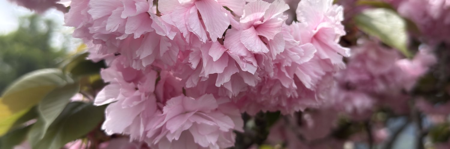 ひでのiPhone Pro写真部 banner