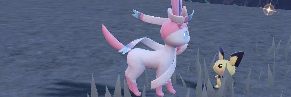 CrunchyMunchi banner