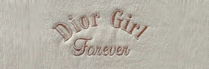 Lara banner
