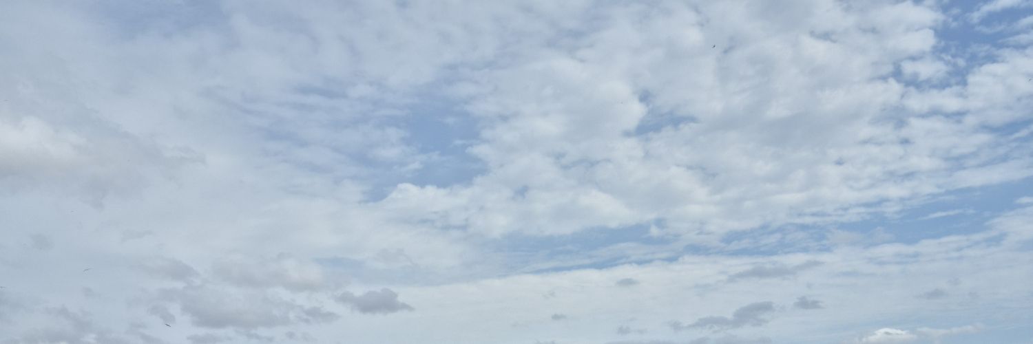 lapisrytr's profile banner image