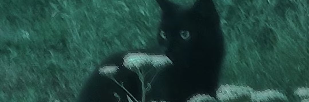 Orion2778's profile banner image