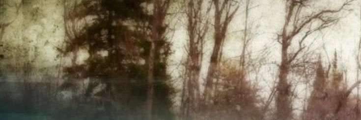 🪾𝖡𝖺𝗌𝗂𝗅 ^..^ GOT SUSSED banner