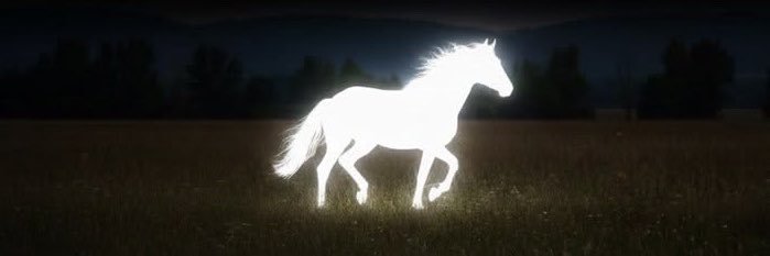 maymundjo's profile banner image