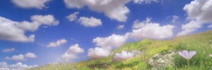 ⸝ ֹ 𓂅┊koorogi ֹ ꉂ ׄshtwt ﾒ ๋࣭ ࣪╭ banner