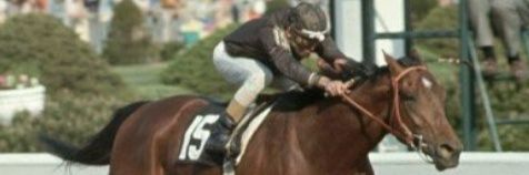 JORGE JOSE PIGNOLONI PALACIOS banner