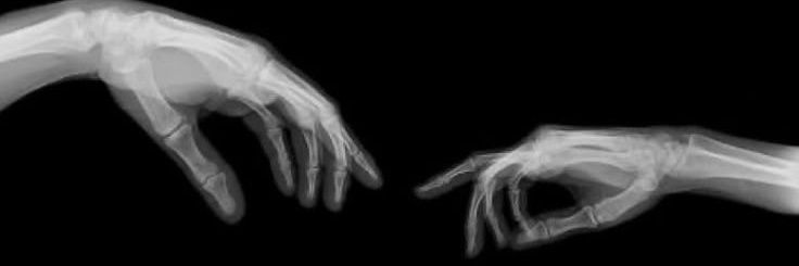 morgez banner
