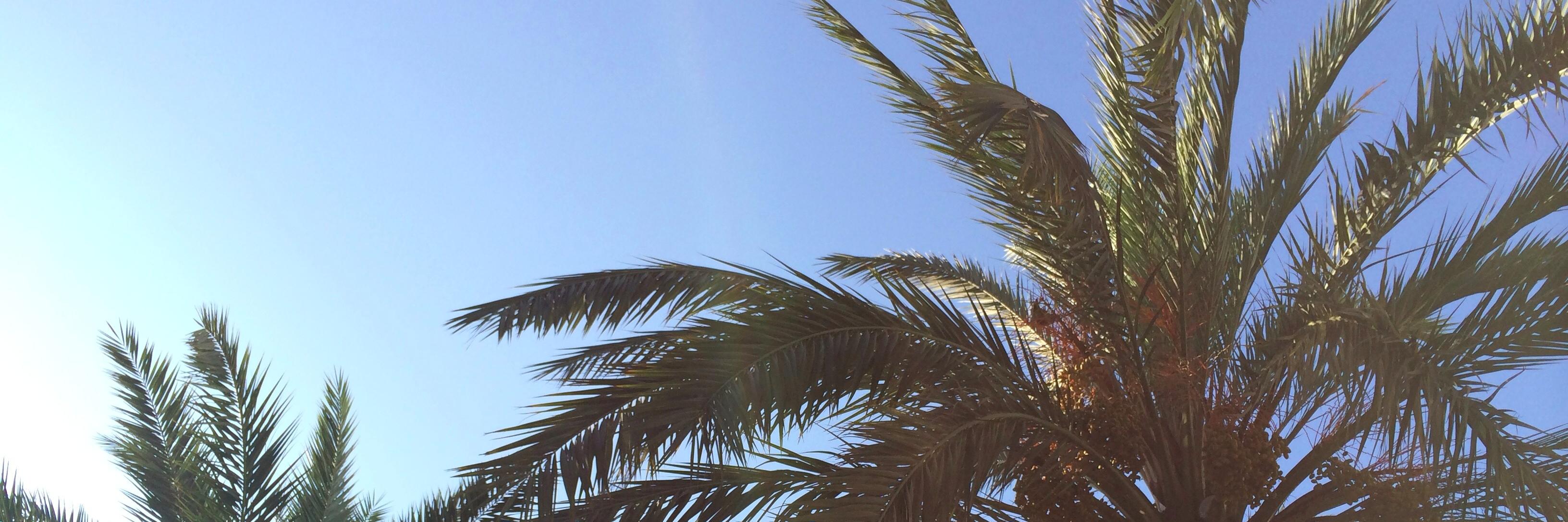 juhaf's profile banner image