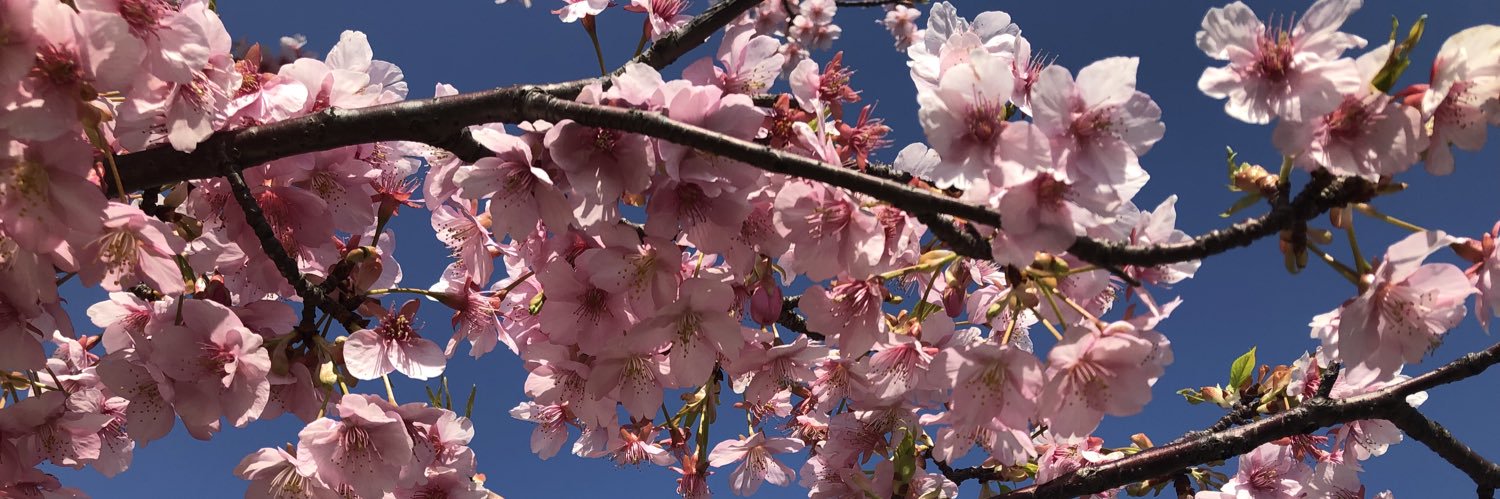Ngoc banner