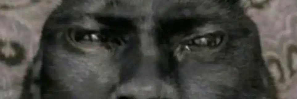 chilllingmo's profile banner image