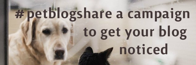 petblogshare's profile banner image