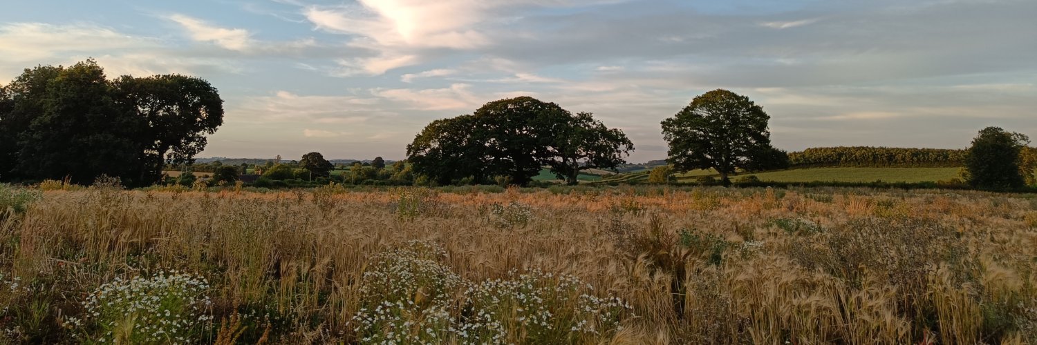 Andrew Terry banner