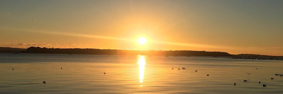 Jeffrey Barnacle banner