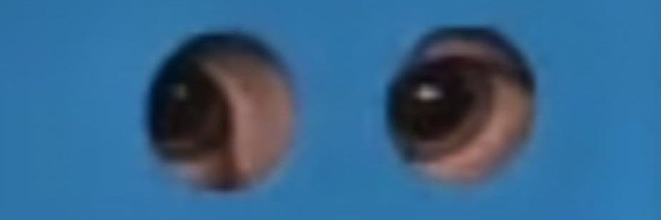 Papa Kayo 🧙‍♂️ banner