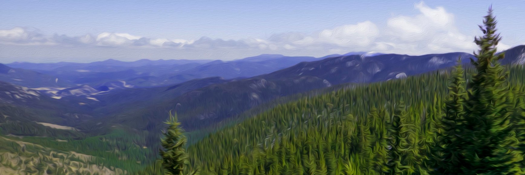 Swal's profile banner image