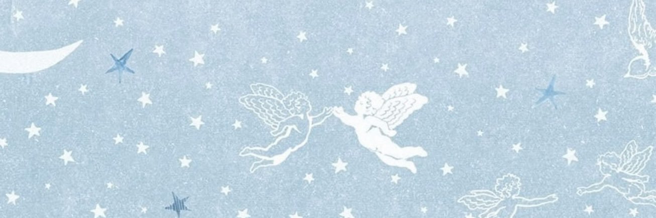 ﾟ*｡꒰ঌ. banner