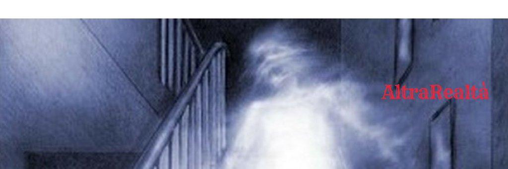 AltraRealta's profile banner image