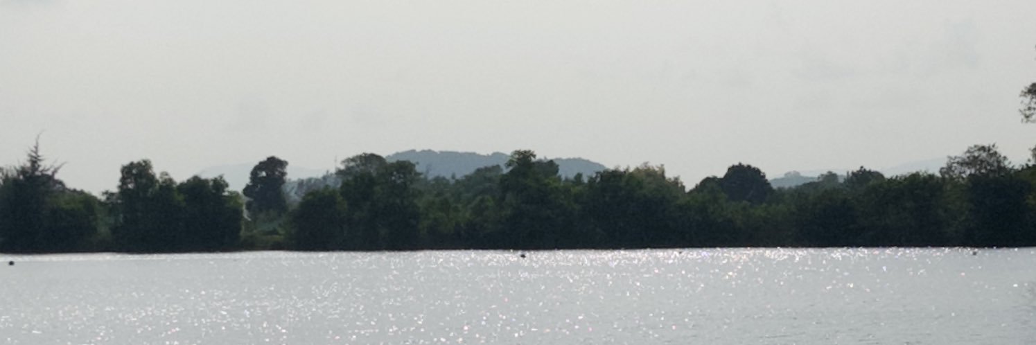 oodwj banner