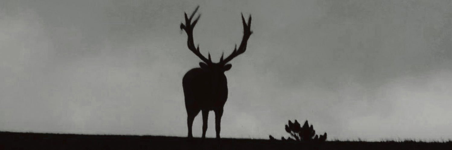 ten banner