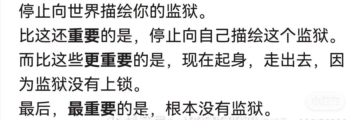 不是小猫 banner