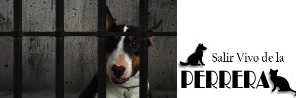 KeopsMontes's profile banner image