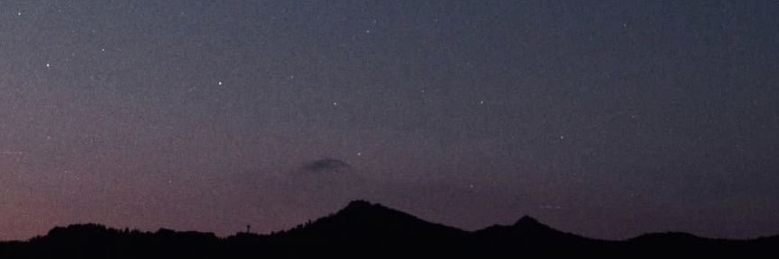 ネキ(仮) banner
