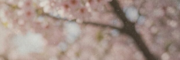 실티 banner