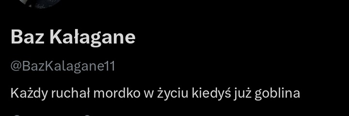Baz Kałagane Drugi banner