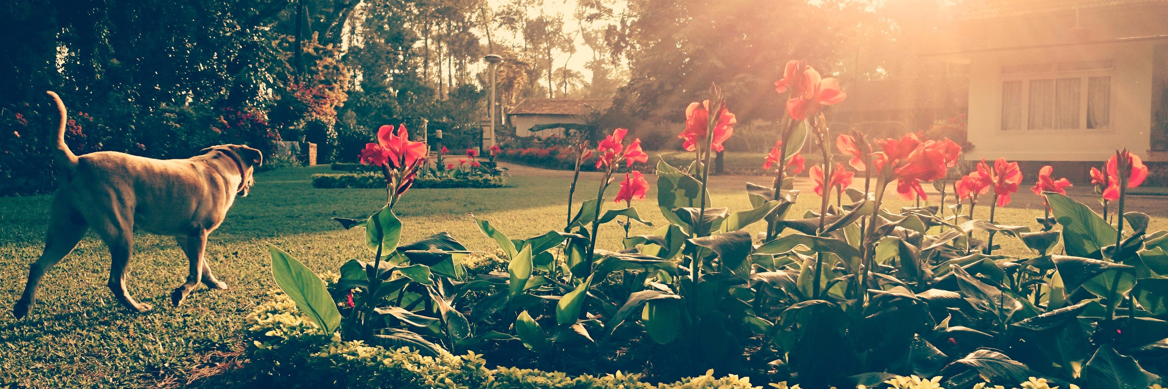 shreyag_'s profile banner image