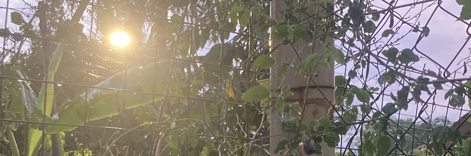 lieydien's profile banner image