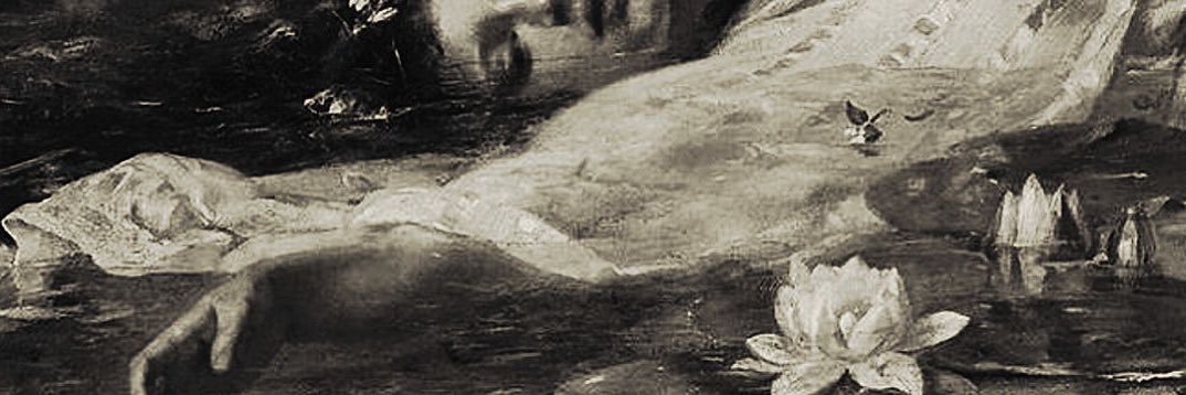 Spideyweb's profile banner image
