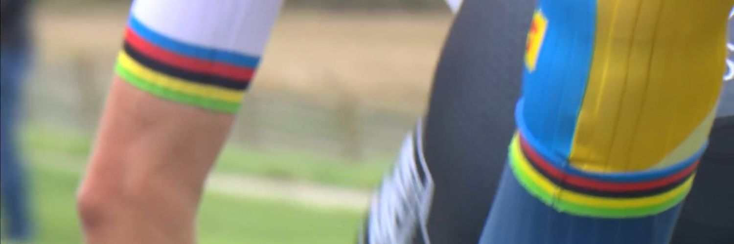 Mikkelline 🦔 banner