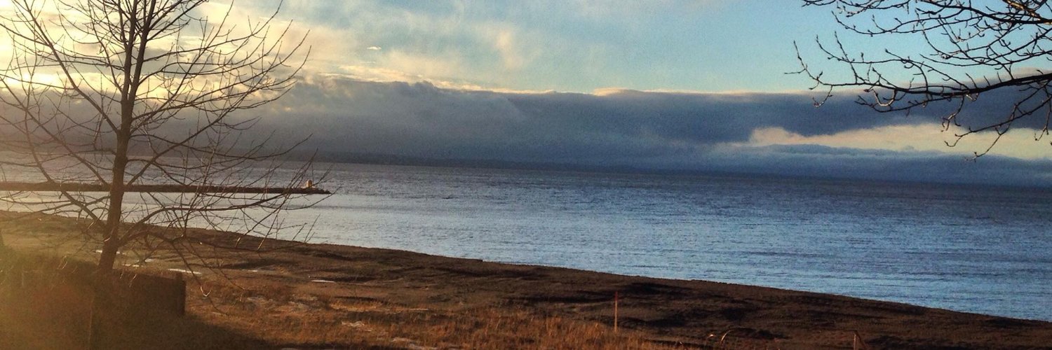 Claude Villeneuve banner