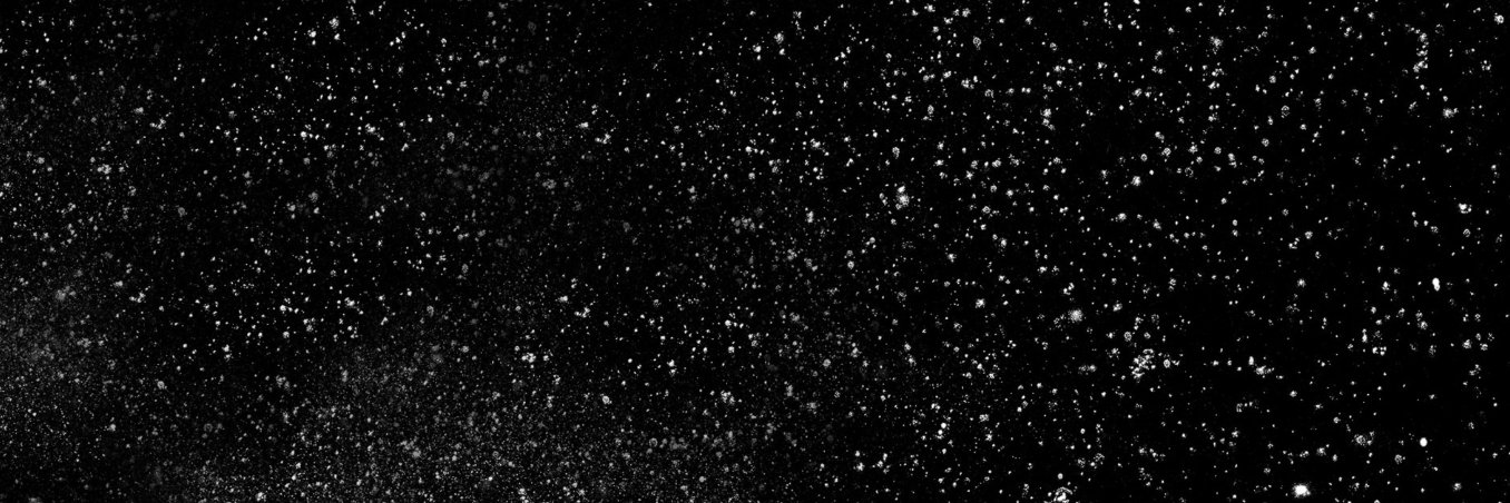 andie ✵ banner