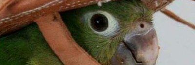 dkjbd001's profile banner image