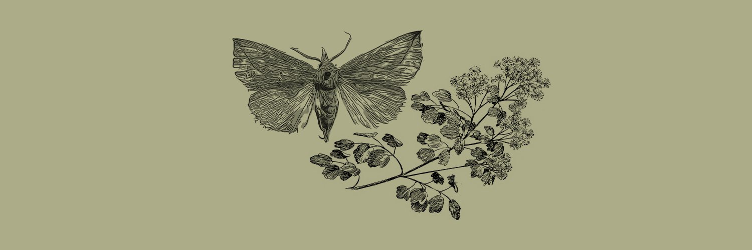 MeadowrueMoth's profile banner image