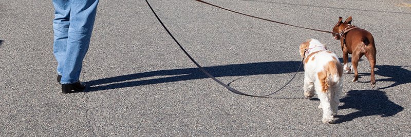 Joi Tamber-Brooks banner