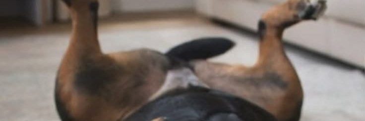 Funfunenjoy87's profile banner image