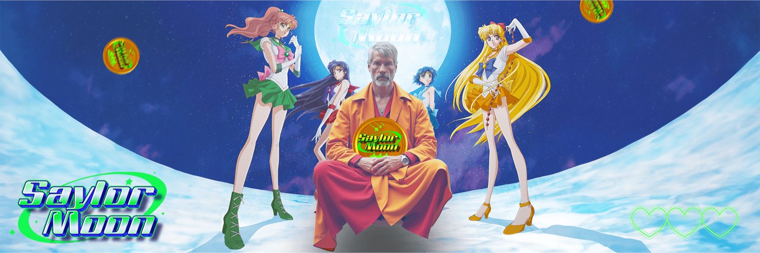 Saylor Moon banner