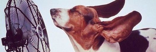 caquiit's profile banner image