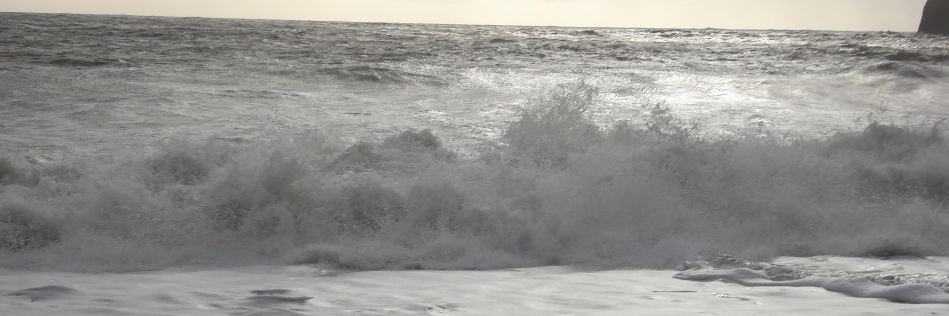 Millicent Benson banner