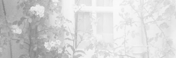 eve banner