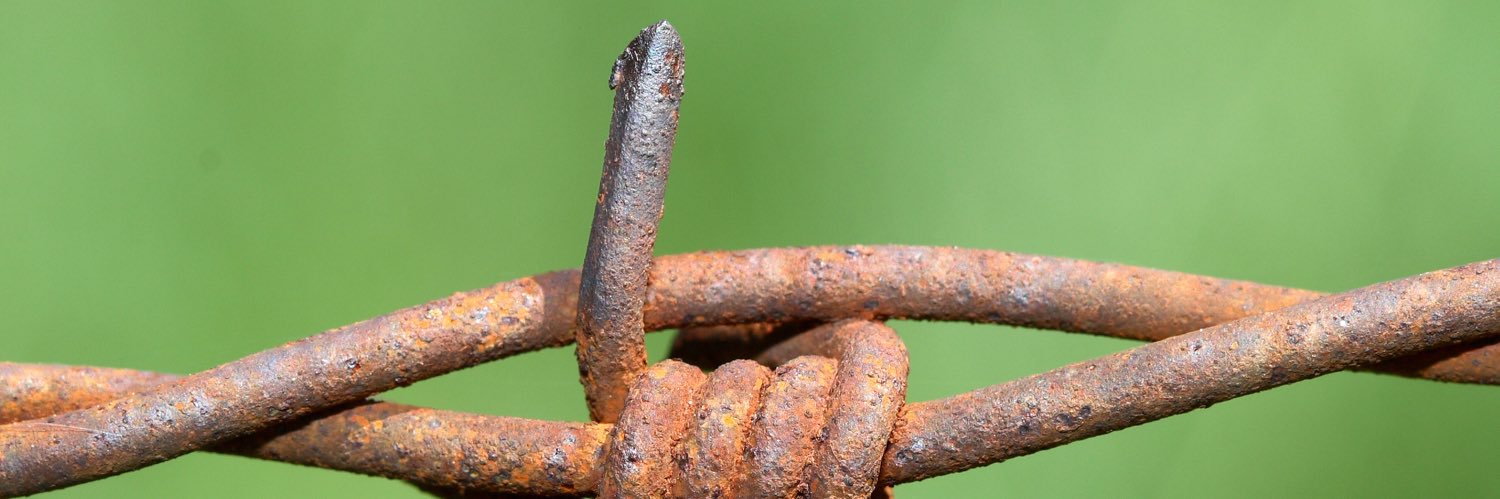 Rusty Thorn banner