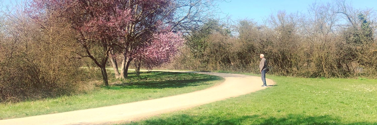 cleoandrade's profile banner image