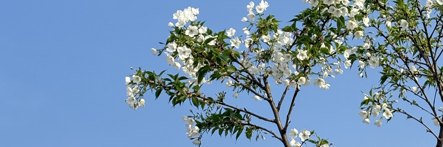 Xugangsran's profile banner image