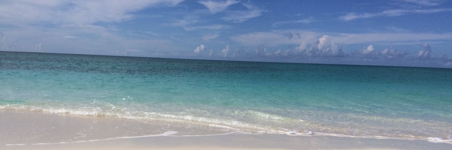LindsayDClukies's profile banner image