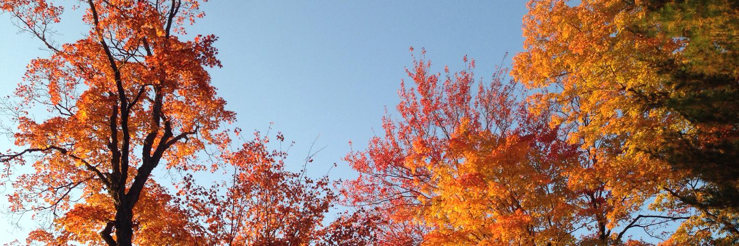 bergey_deb's profile banner image