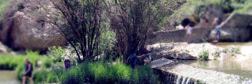 Club Senderismo de Valencia banner