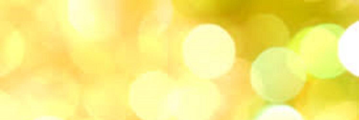 Borjita banner