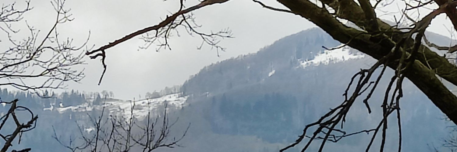 tvnotes's profile banner image