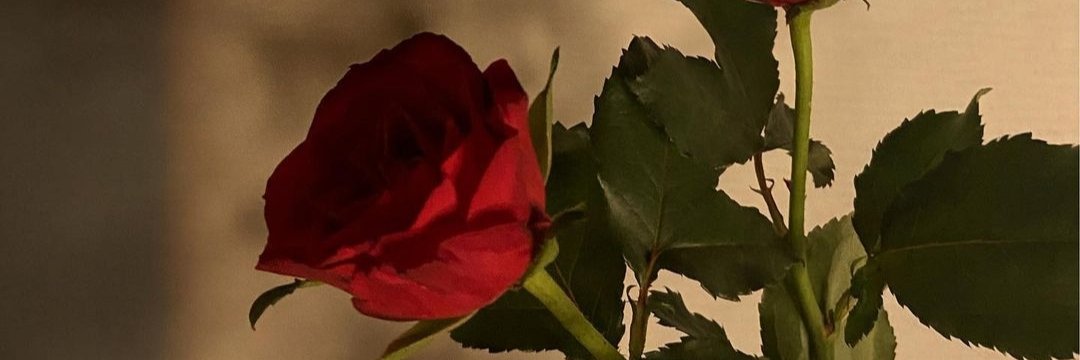AriskaQueen99's profile banner image